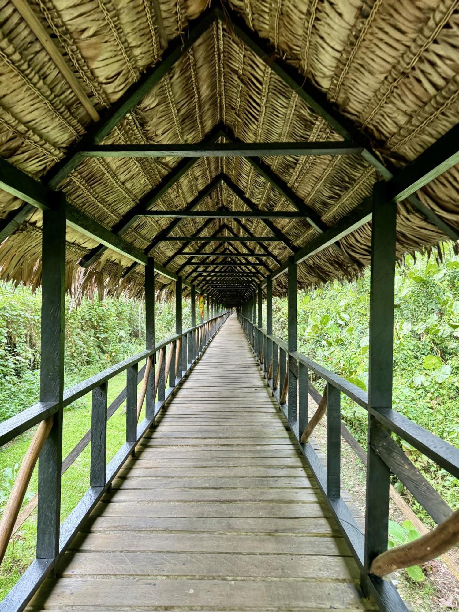 Biohotel Arara River Leticia Bagian luar foto